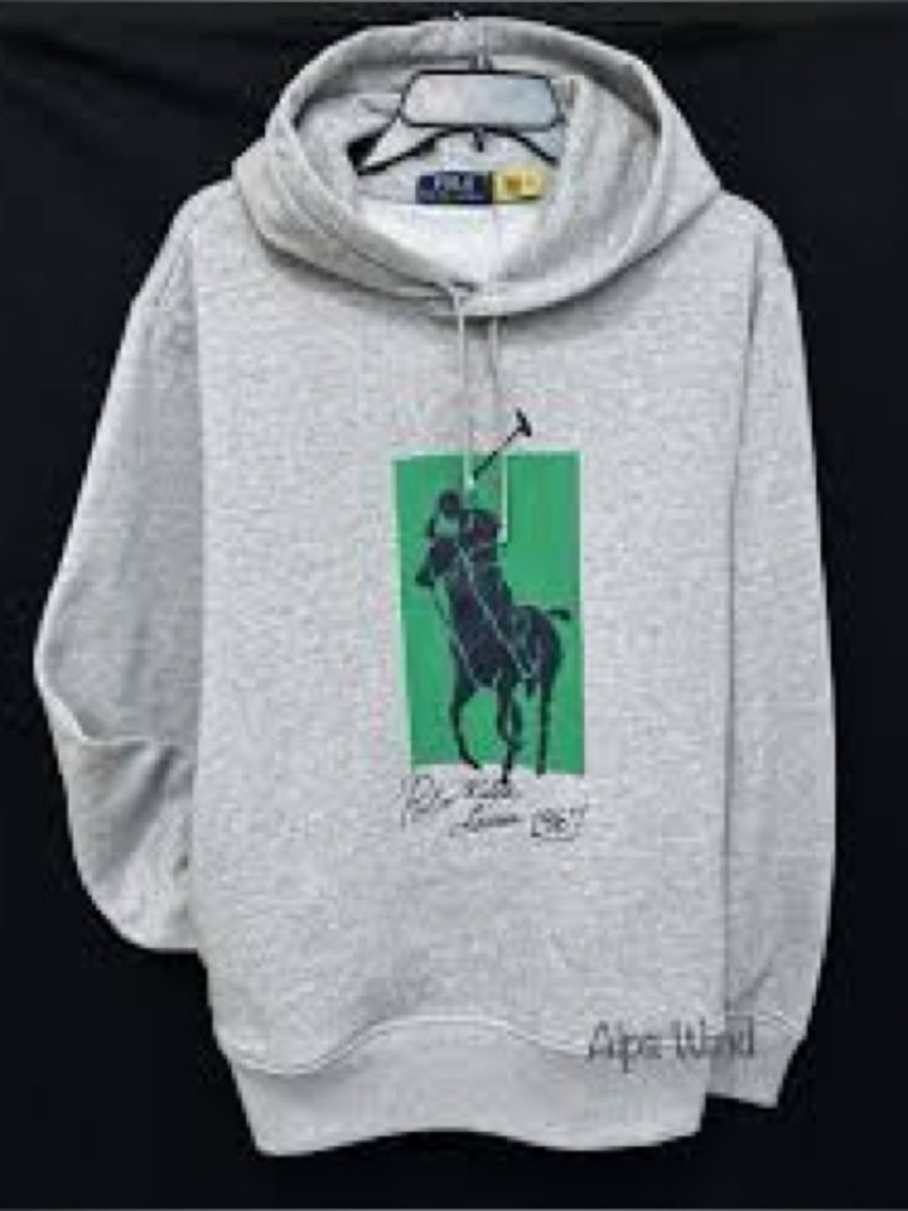 Polo Ralph Lauren Big Pony fleece hoodie